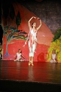 La boutique fantasque 2007